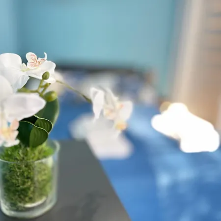 דירה Agat Dziwnowek Epapartamenty *